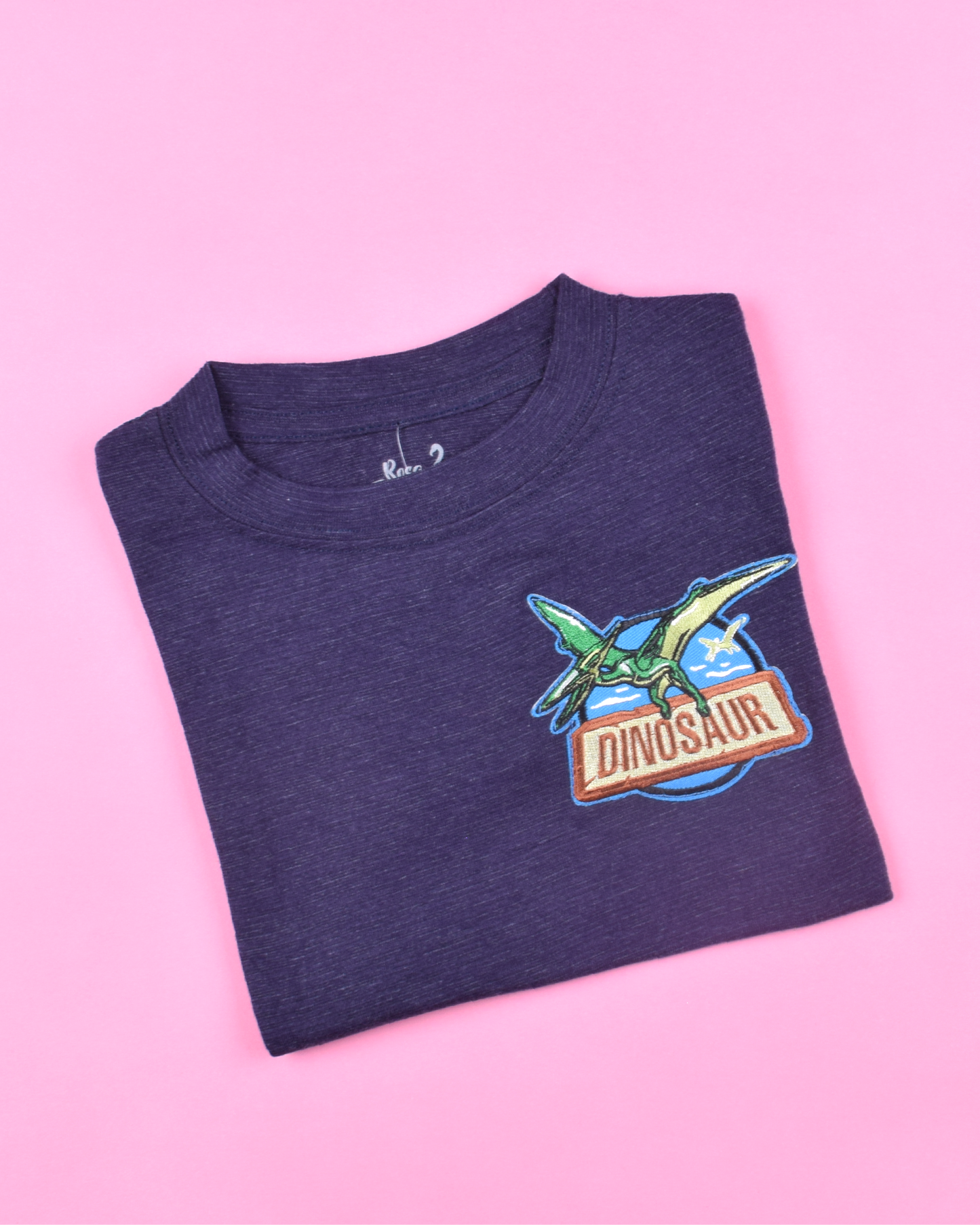 Dinosaur T-Shirt Niños